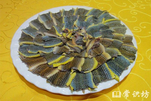 蛤蚧补肾益气胜人参:药理价值与四大功效