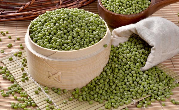 夏季食用绿豆要辩证