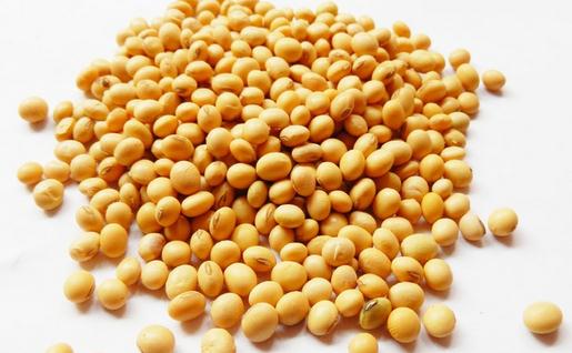 豆類與腹部氣體:原因、減輕方法與飲食注意