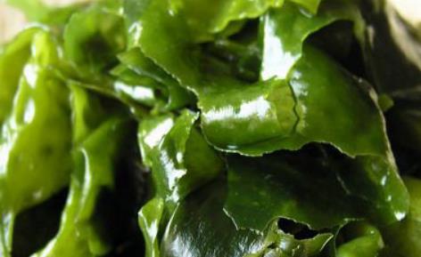經常便秘吃什麼好?秋季通便食材推薦