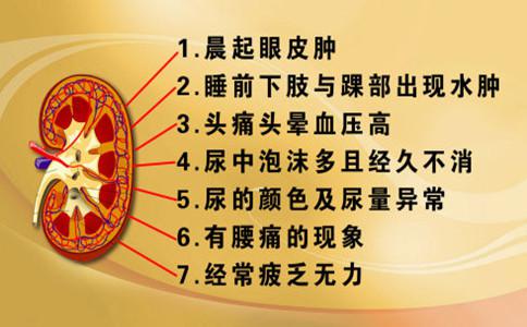 小便泡泡多?警惕肾脏“变坏”