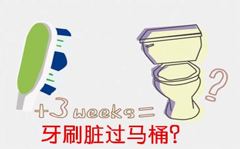 牙刷和口紅真的比馬桶髒嗎？科學探討三種生活物品的細菌實況