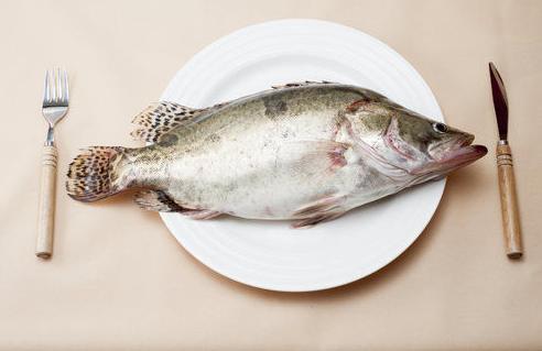 哪些人不適合吃魚?為什麼?