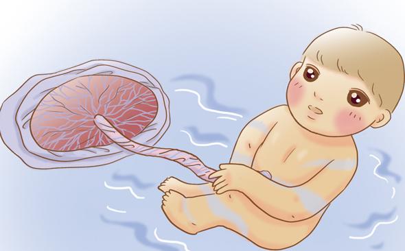 存脐带血真的有用吗？科学解读其价值与局限