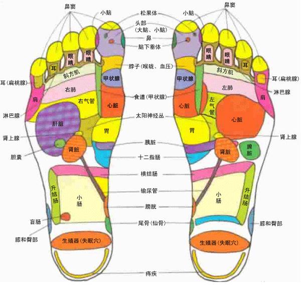 人體腳部穴位圖：足部高清穴位示意圖解