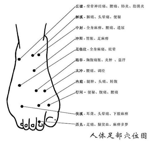 人體腳部穴位圖：足部高清穴位示意圖解