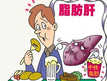 餐後喝茶不當易導致脂肪肝:原因與預防措施