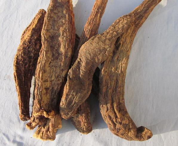 腎處的治療方法