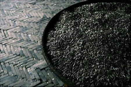 腎虛如何調養 — 中醫建議與食補方法
