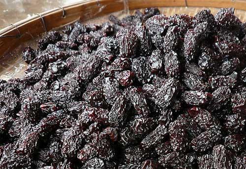 腎虛如何調養 — 中醫建議與食補方法