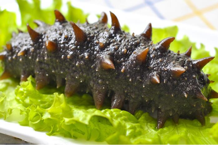 腎虛怎麼補 — 中醫分型與食療補腎全說
