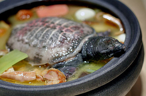 腎虛怎麼補 — 中醫分型與食療補腎全說