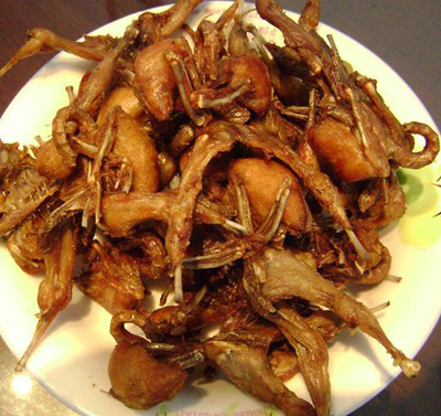 男人肾虚吃什么?补肾食物与药物全攻略