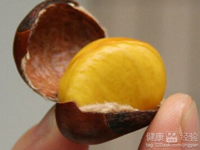 益氣健脾大棗的5種食療建議與注意事項