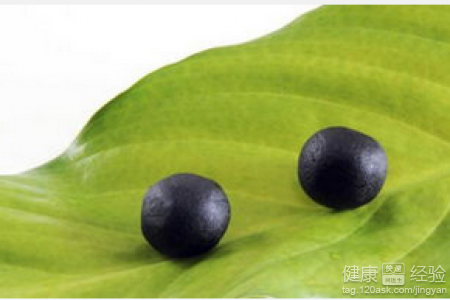 氣虛體質的飲療補充：六味中藥健脾補氣指南
