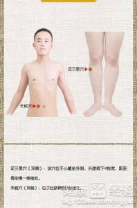 健脾养胃针灸的方法与步骤指南
