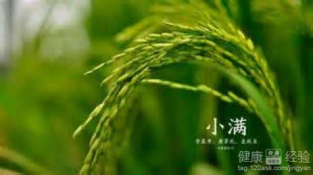 小满养生指南：清热健脾、养护心脏