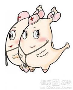 健脾暖胃的食物有哪些