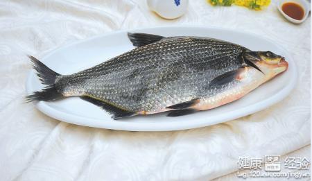 冬季健脾胃食療：5款滋養秘方