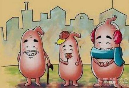 女性健脾養生指南：食療與生活調理