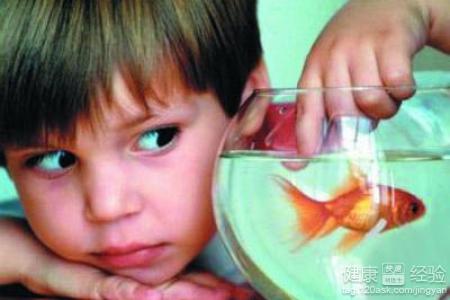 冬季去火攻略：冬天吃什么降火