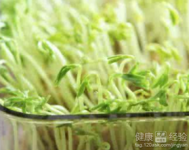 春季祛湿食谱：6种食物助女性除湿