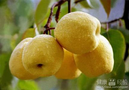 女性體寒能否吃梨？梨的正確食用方法及健康建議