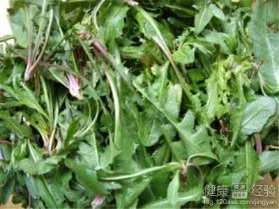 春季野菜指南：5種必吃野菜盤點與營養功效
