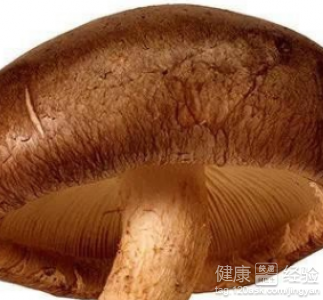 肺部清潔工：6種食物幫助吸煙者清肺