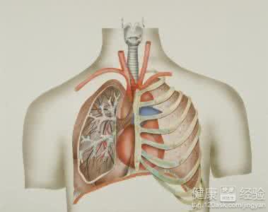 立秋養生指南：霧霾天如何護肺