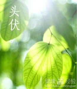 三伏天養生指南：6大原則助你度過濕熱
