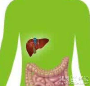 五臟養生：遵循四季盛衰，避免身體過勞駕駛