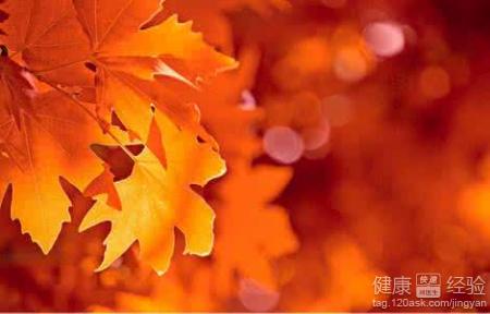 秋季養生原則：避免早期傷身的五個習慣