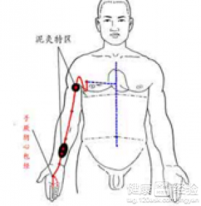 戌時養生：手厥陰心包經當令詳解