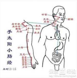 未時養生：小腸經如何防治大病