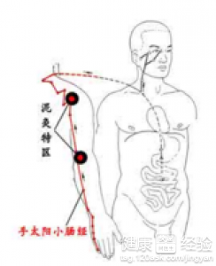 未時養生：手太陽小腸經當令詳細解析
