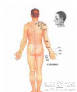 未時養生：手太陽小腸經當令詳細解析