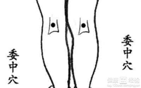 穴位养生：人体十大养生穴位