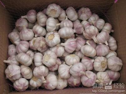 冬季養生兩款溫熱湯品 滋補佳選