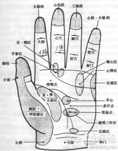手部預防疾病穴位按摩指南
