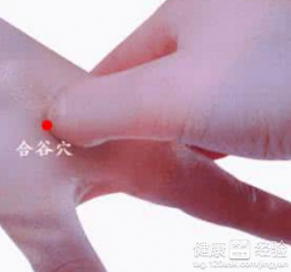按摩大腸經的健康好處與正確按摩方法