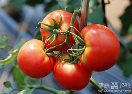 7大錯誤飲食習慣 傷身又損健康
