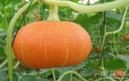 貧血患者必看：五大飲食禁忌與補血建議