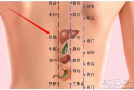 改善虚寒体质的艾灸穴位指南