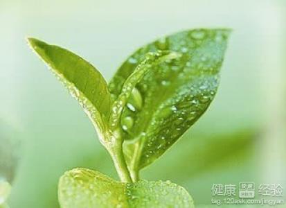 肾囊肿的饮食与日常生活注意事项