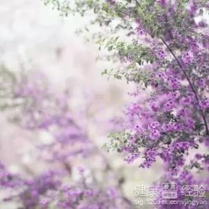 揭開日常飲食禁忌的迷思：科學養生的實用指南