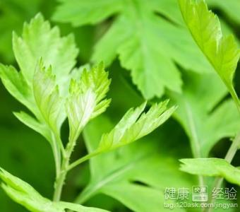 辟谷減肥注意事項:如何安全有效地進行斷食減肥