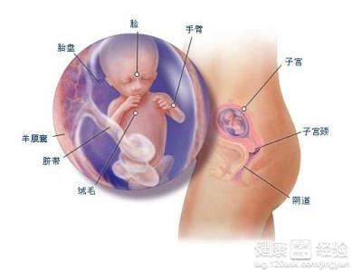 實用BB購物單：媽咪不當囤貨帝必看指南