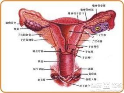 護子宫的6大要則：避免傷害女性健康的6個壞習慣