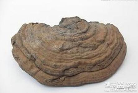 五大食用靈芝的健康養生方法